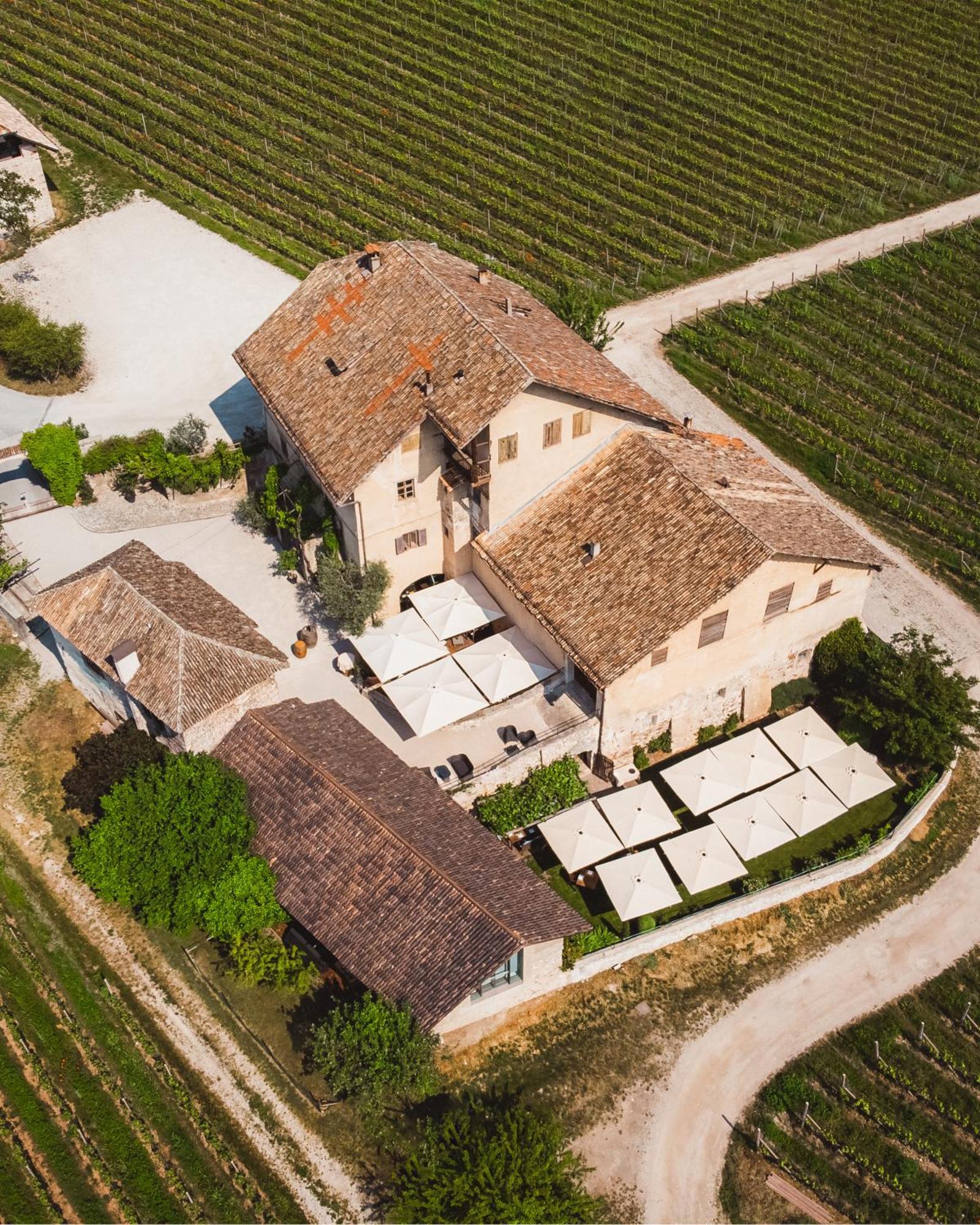 Weinbergsuite Panholzer Caldaro sulla Strada del Vino Exterior foto
